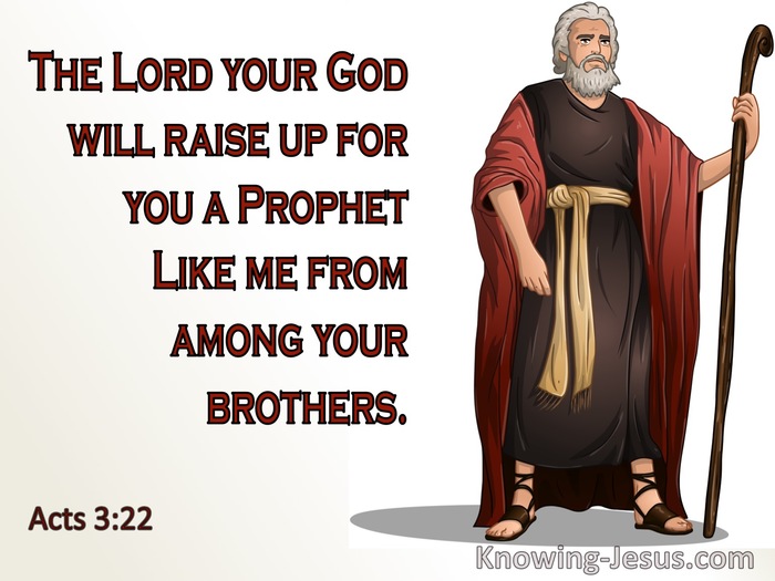 What Does Acts 3 22 Mean 